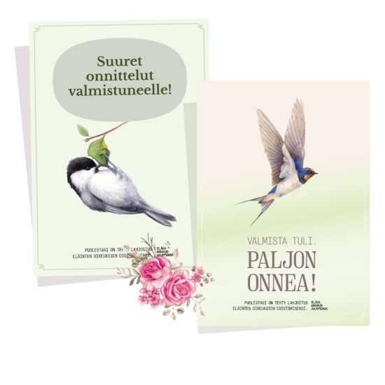 Anna aineeton lahja koulujen päättyessä (vapaavalintainen summa)